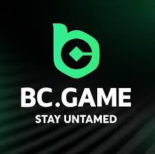 How to Achieve Big Wins on BC.Game