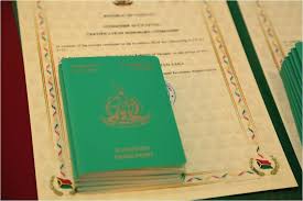 Understanding Vanuatu Passport Price A Comprehensive Guide