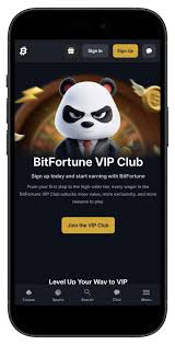 Bitfortune Live Dealer Games An Immersive Experience