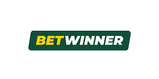 Discover the Thrills of BetWinner Casino Your Ultimate Gaming Destination