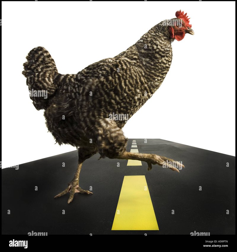 Het Geheim van Chicken Road: Ga Voorbij de Online Gokspelen in Nederland