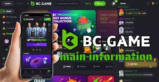 Maximize Your Winnings BC.Game Bonuses for African Players