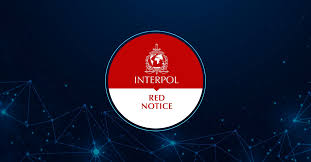 Understanding the Role of Interpol Defense Lawyers 1341306754