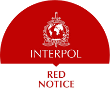 Understanding the Role of Interpol Defense Lawyers 1341306754