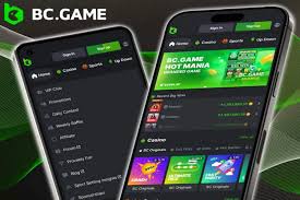 Understanding the Terms & Conditions of the Hash Game 1065732707