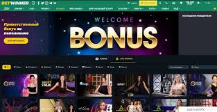 BetWinner Platform Your Ultimate Online Betting Experience