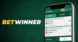 Everything You Need to Know About BetWinner -811567370